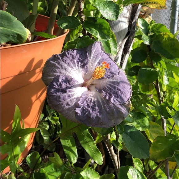 π¦ All $5 items available for bundle of 3 or more only to make it worth to ship - Picture 4 of 16